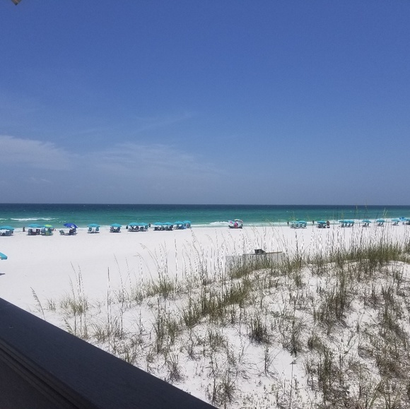 Meet your Posher, Crystal - Picture 5 of 7